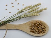 whole grain intake