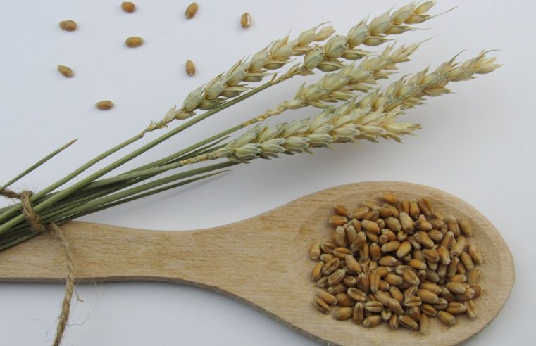 whole grain intake
