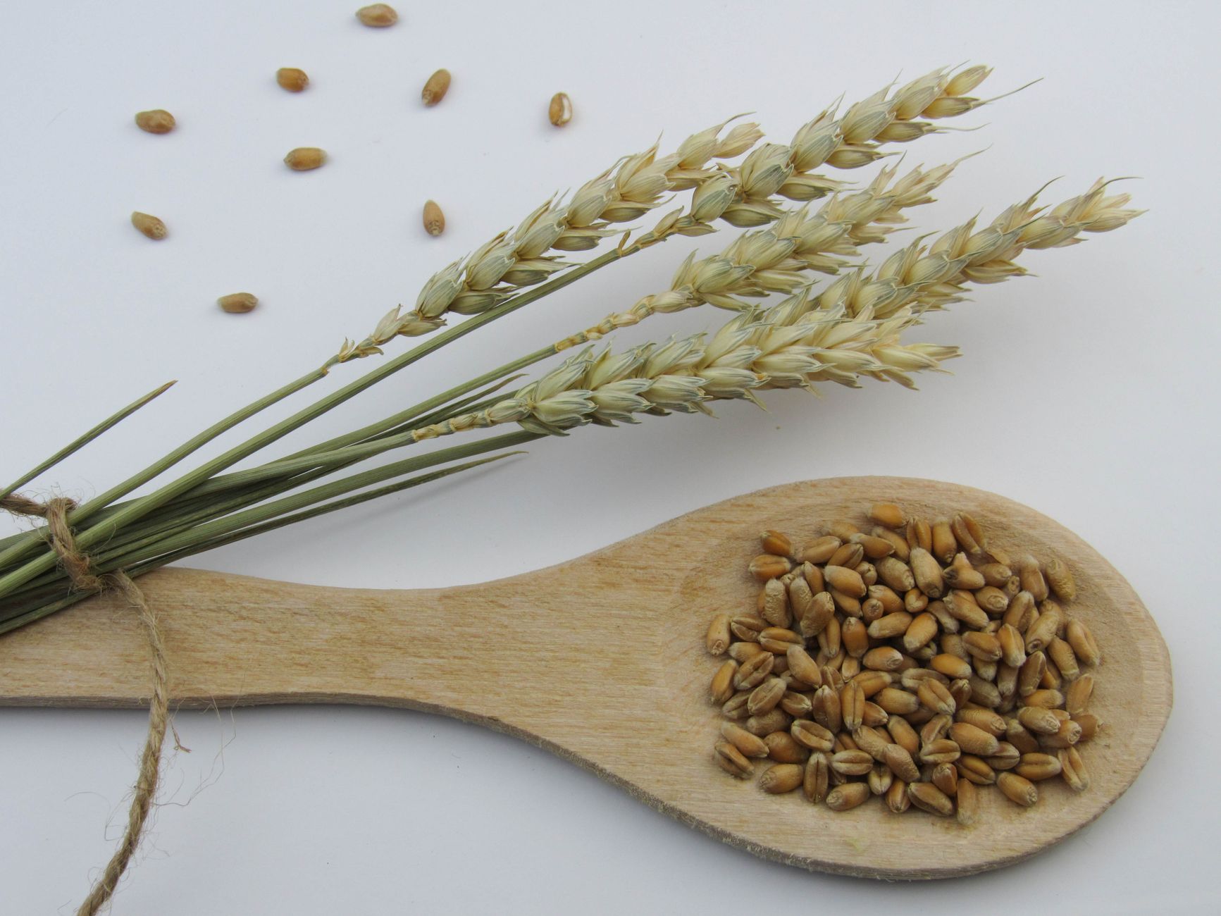 whole grain intake