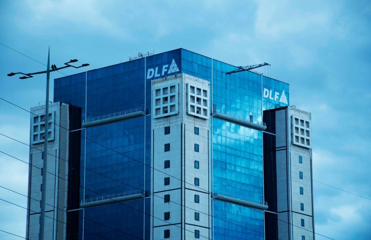 DLF project launches