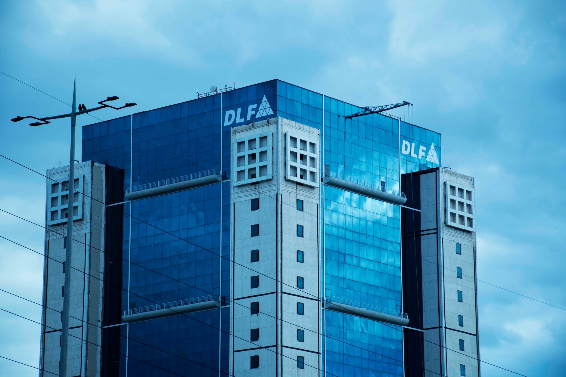 DLF project launches