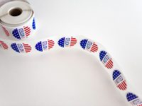 electoral rolls revision