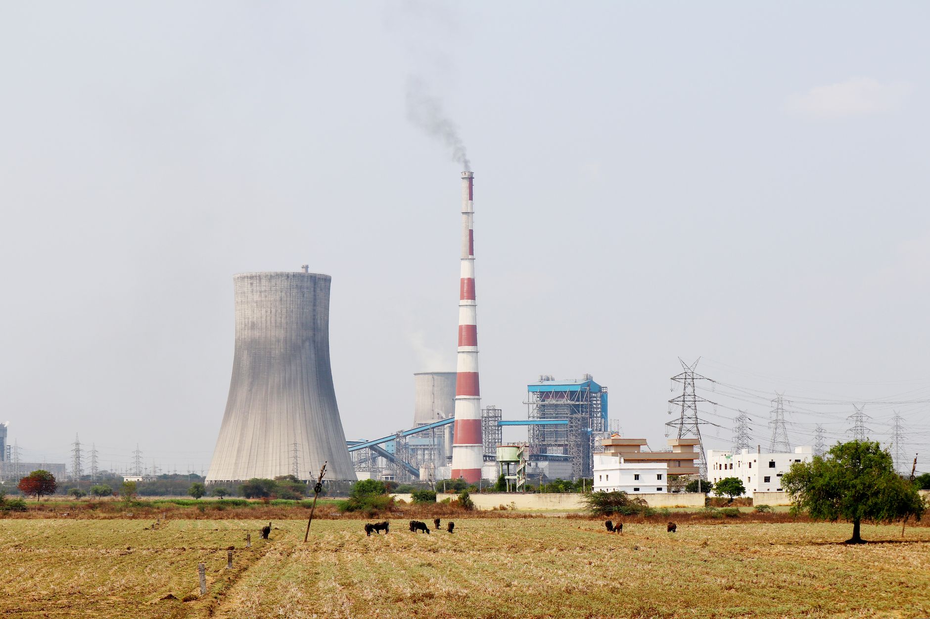 energy talks India