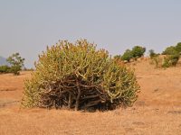 Maharashtra drought announcement
