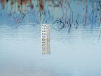 sea-level rise