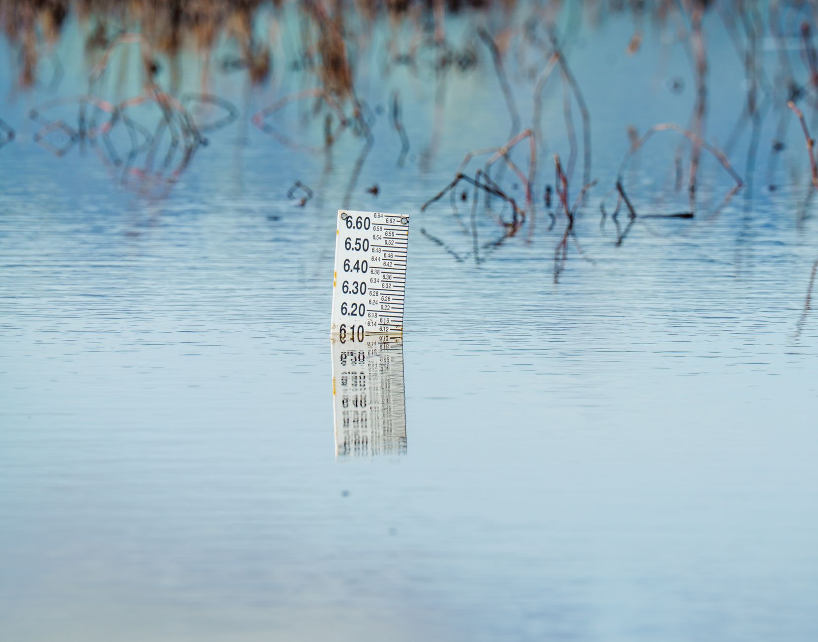 sea-level rise